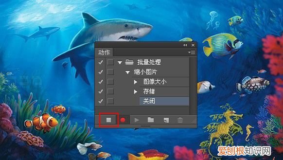ps怎么进行批量处理,PS要怎么样才能批量处理