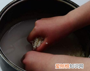 苏泊尔煮饭使用教程是什么，苏泊尔电饭锅使用方法视频教程