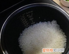 苏泊尔煮饭使用教程是什么，苏泊尔电饭锅使用方法视频教程