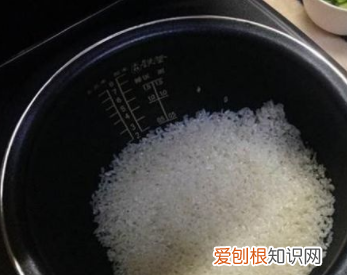 苏泊尔煮饭使用教程是什么，苏泊尔电饭锅使用方法视频教程