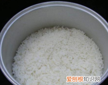 苏泊尔煮饭使用教程是什么，苏泊尔电饭锅使用方法视频教程