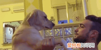 女朋友生气了怎么办哄 异地恋,奶狗男朋友生气怎么哄