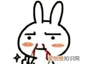 女朋友生气了怎么办哄 异地恋,奶狗男朋友生气怎么哄