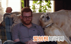 女朋友生气了怎么办哄 异地恋,奶狗男朋友生气怎么哄