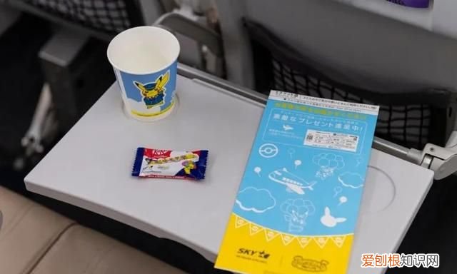 皮卡丘飞机怎么坐,皮卡丘飞机