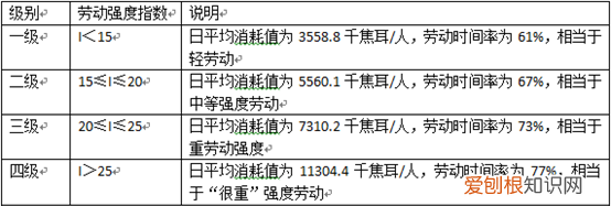 国家规定的三级劳动强度,国家规定的第三级劳动强度有哪些