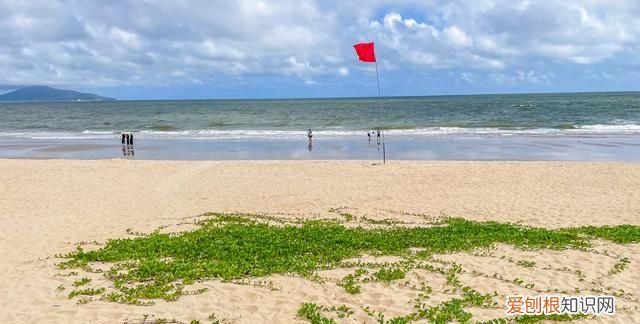 广东最值得去的小众海滩露营 广东免费海滩露营自驾游