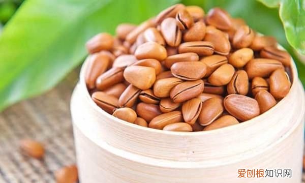 松子生的可以吃吗,松子生的好还是熟好
