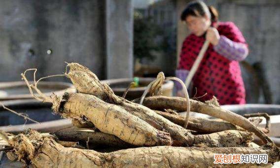 葛根粉怎么泡才能成功，葛粉怎样泡是正确的方法