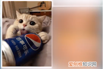 如何保存小红书里的，小红书怎么样保存原图无水印