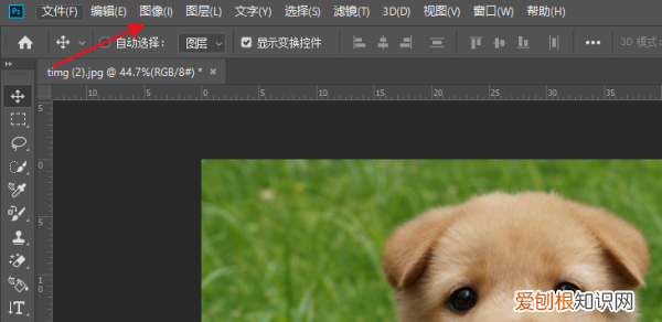 如何做一像素的,ps怎么提高照片像素