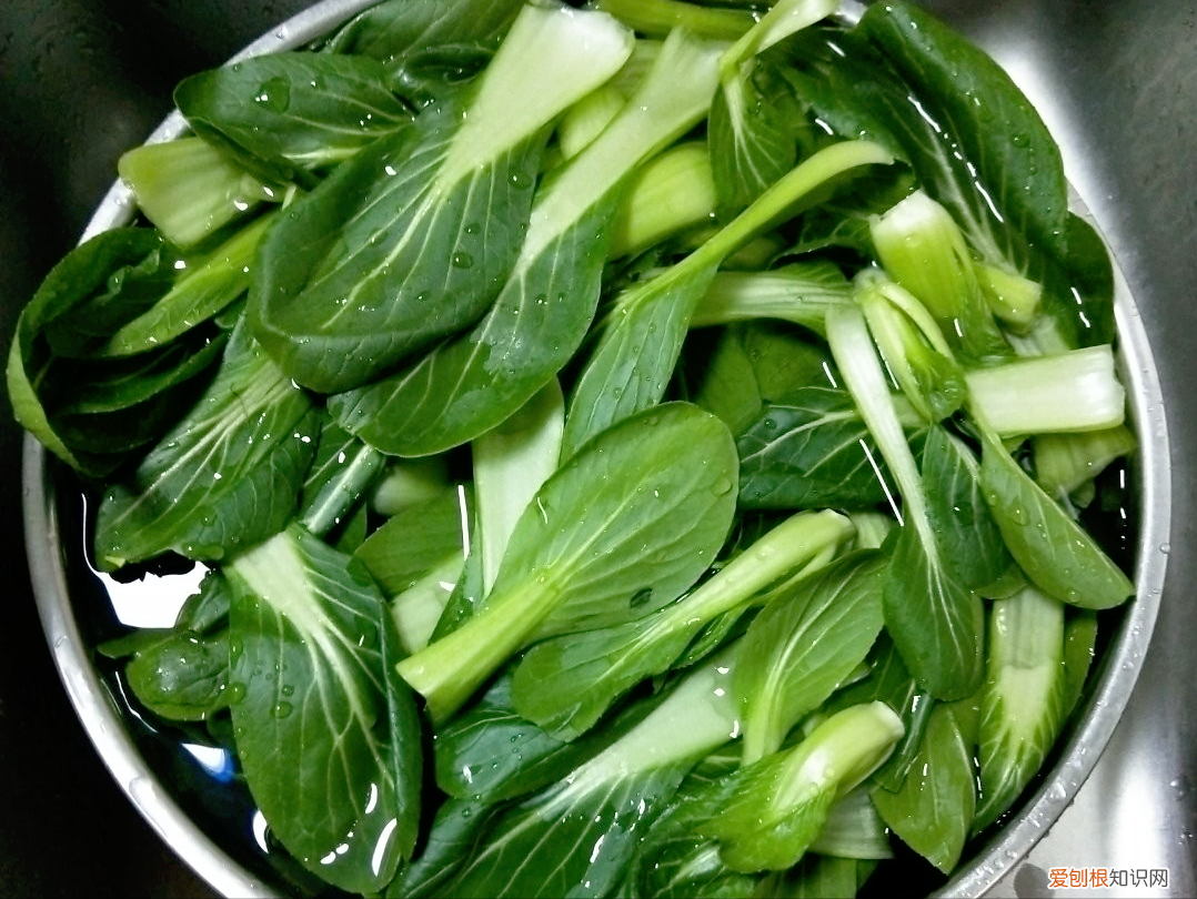 补钙食谱大全家常菜