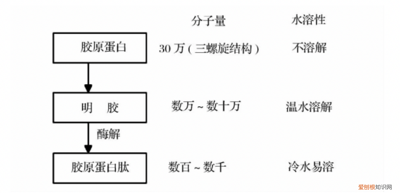 高培奶粉怎么样啊