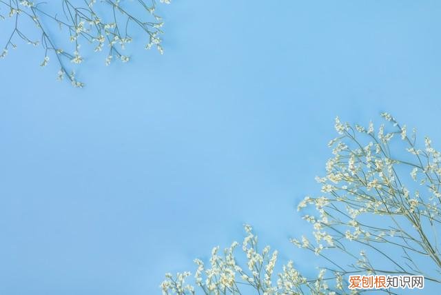 冬天怎样减肥最有效?