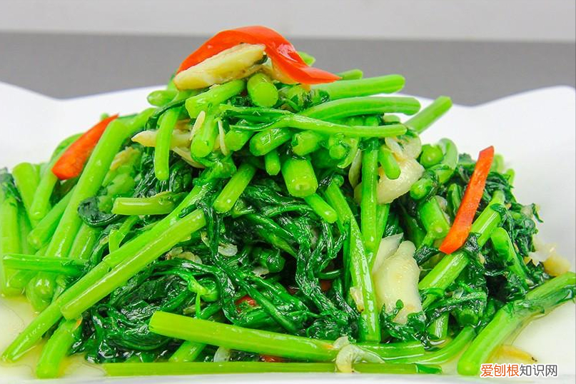 虾皮的做法大全家常菜？