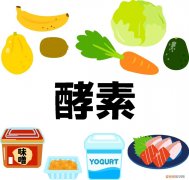 酵素减肥真的有用吗？