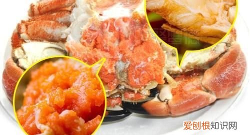 螃蟹放冰块能被冰死么
