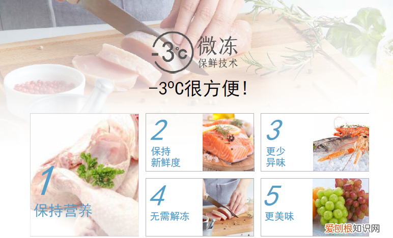 纳诺怡技术是什么意思