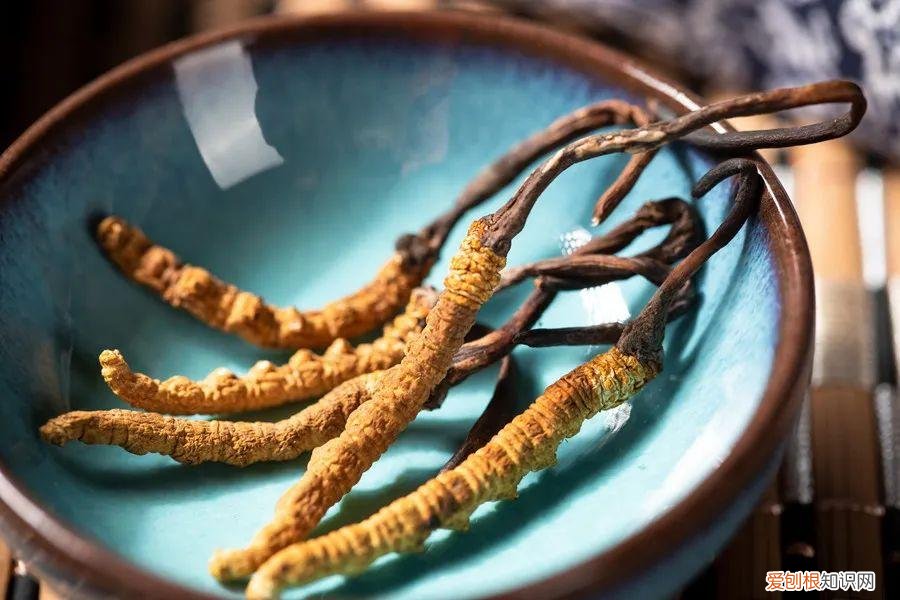 天麻炖鸽子的做法和功效