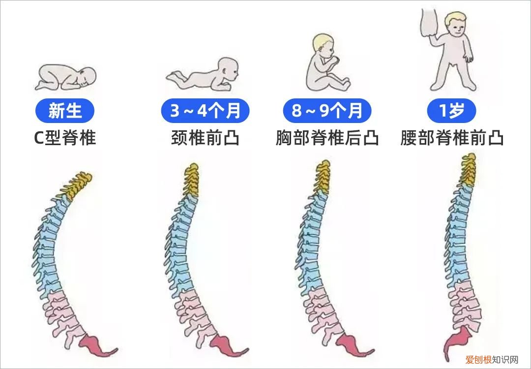 儿童床垫哪个牌子的质量比较好