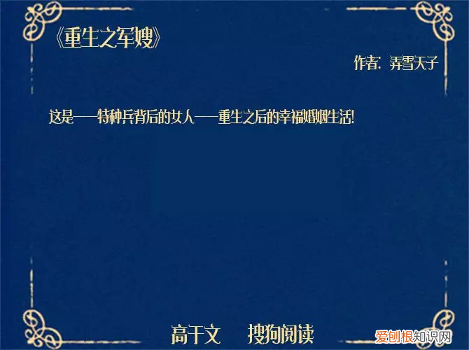 6本重生之犀利女兵小说