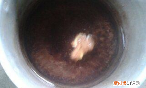 猪尾巴汤的做法