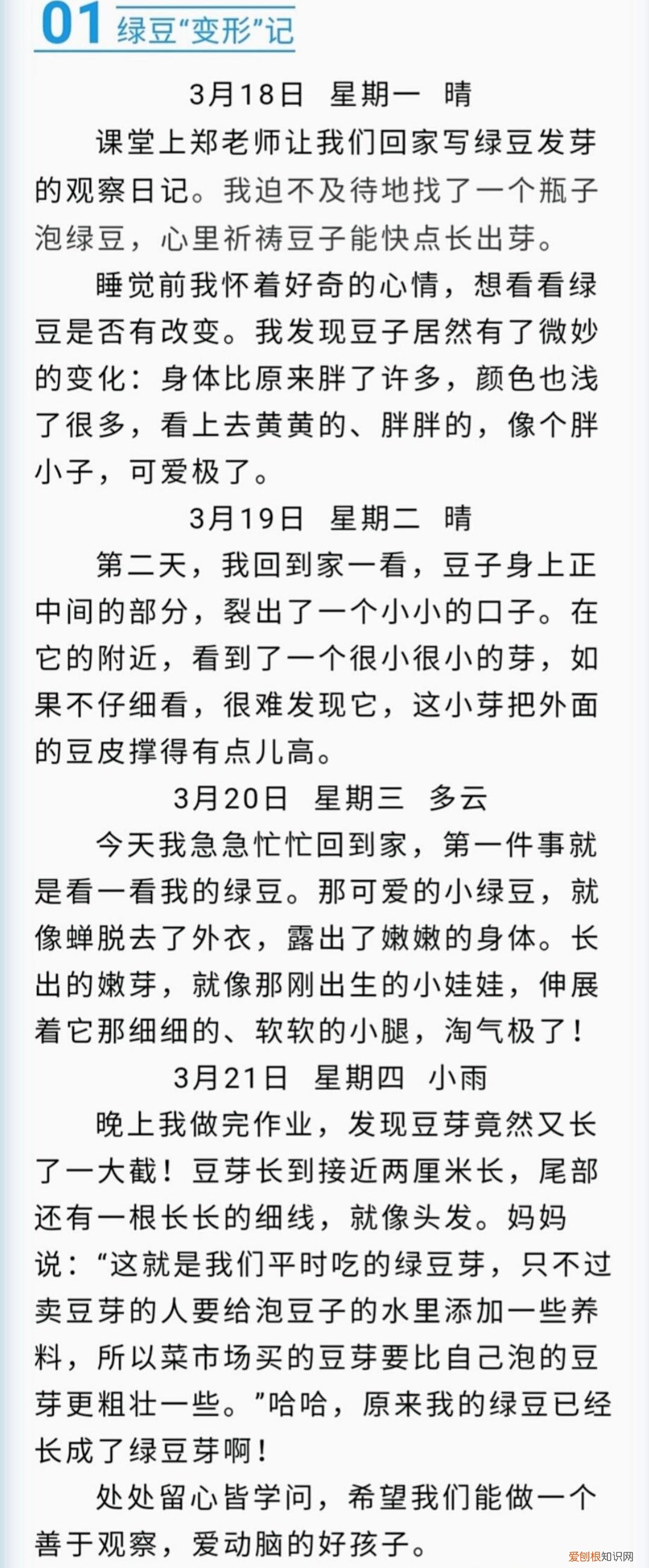 四年级上册第三单元写观察日记400字