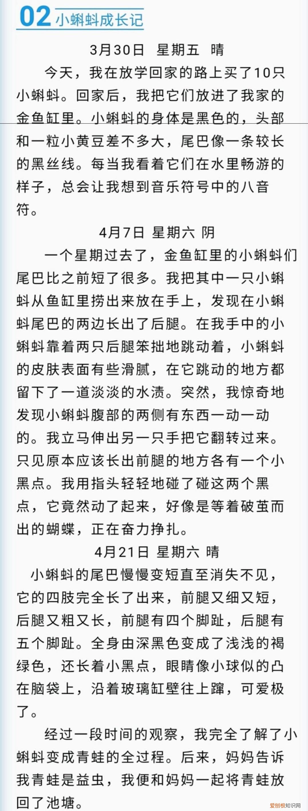 四年级上册第三单元写观察日记400字