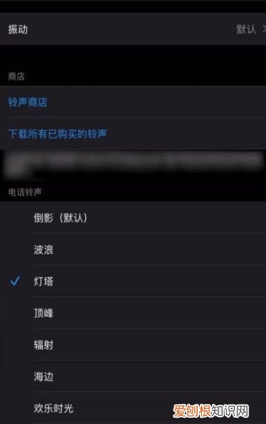 苹果11手机陀螺仪在设置哪里,苹果手机怎么在设置里面设置翻页