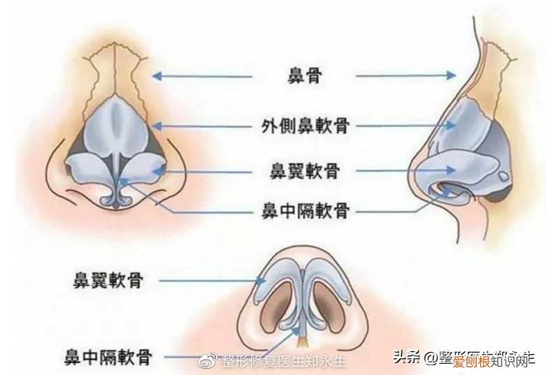 鼻头缩小手术的费用大概是多少啊