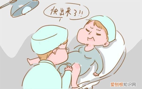 悬垂腹是什么意思