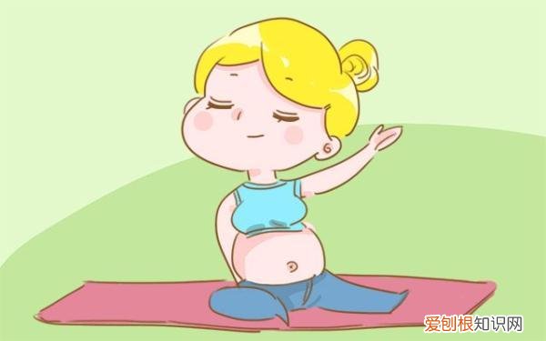 悬垂腹是什么意思