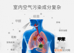 臭氧能除甲醛和苯吗，臭氧能去除房间内的甲醛
