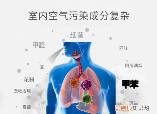 臭氧能除甲醛和苯吗，臭氧能去除房间内的甲醛