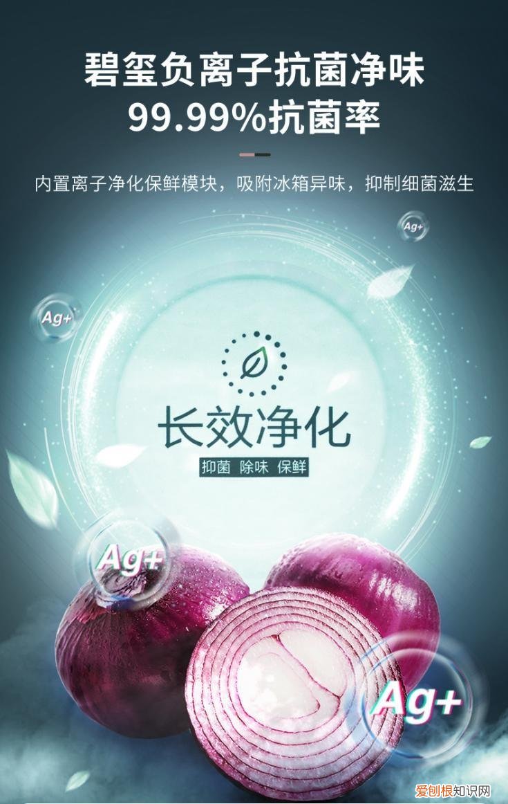 蛋蛋推荐！这款澳柯玛冰箱有何与众不同？