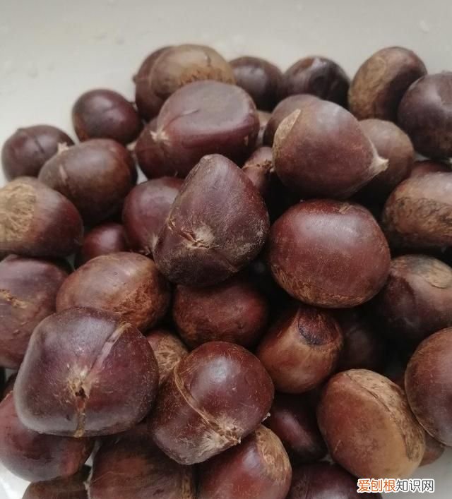高压锅蒸板栗要蒸多久，高压锅压带壳板栗需多长时间