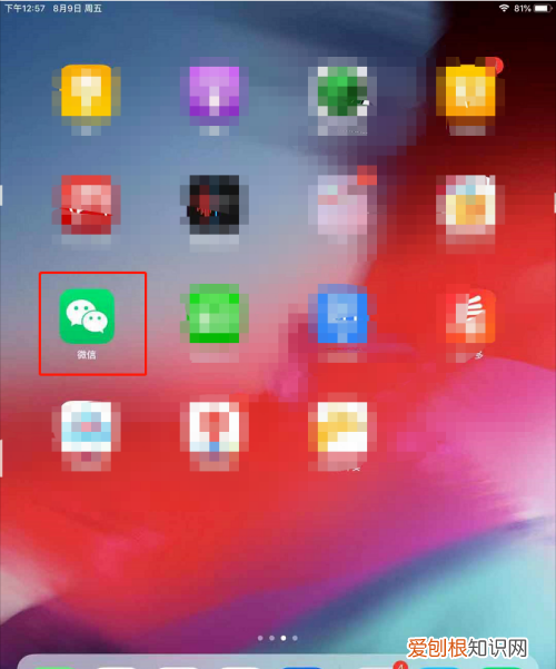 Ipad怎么安装使用微信，ipad如何登陆微信读书