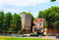 什么是服从调剂，服从调剂是什么意思