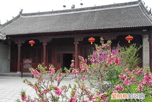 赵氏有多少个堂口，睢宁四大家族是哪四个