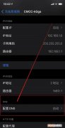 手机如何设置固定dns，如何修改手机的dns苹果