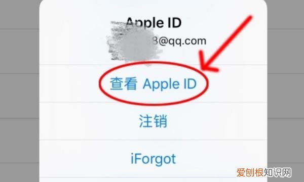 如何取消苹果app购买的付费项目