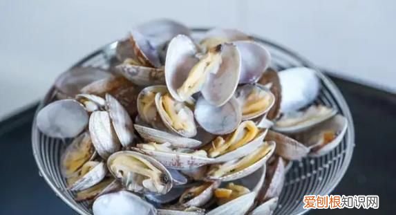 如何保存活的花蛤过夜，贝壳类海鲜怎么保存过夜