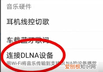 网易云音乐怎么投屏，网易云应该要怎么样才能投屏到电视