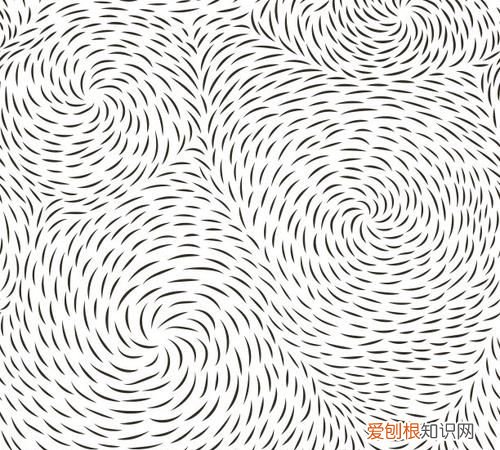 怎么辨别织纹螺，螺旋纹是抽象纹样吗