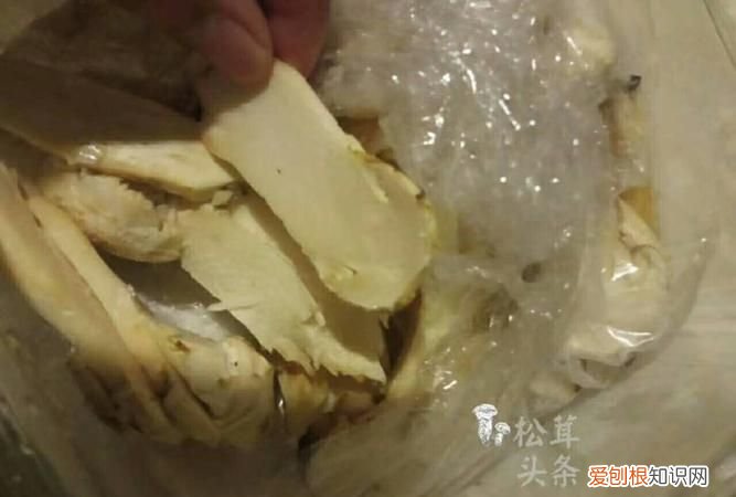 熟的松茸可以冷冻保存,松茸保存是冷藏还是冷冻