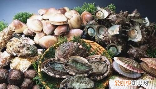 海苔吃多了怎么样，海鲜吃多了有什么坏处