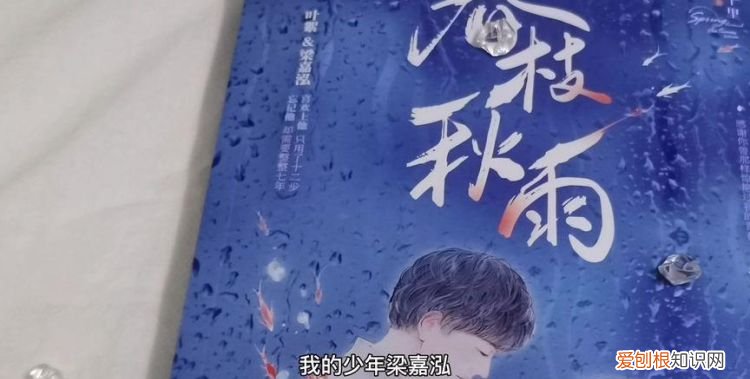 梁嘉泓是什么小说