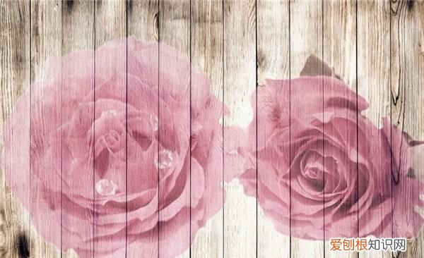 致自己的心情说说句子