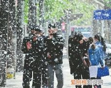 空中飘着飞絮是什么东西