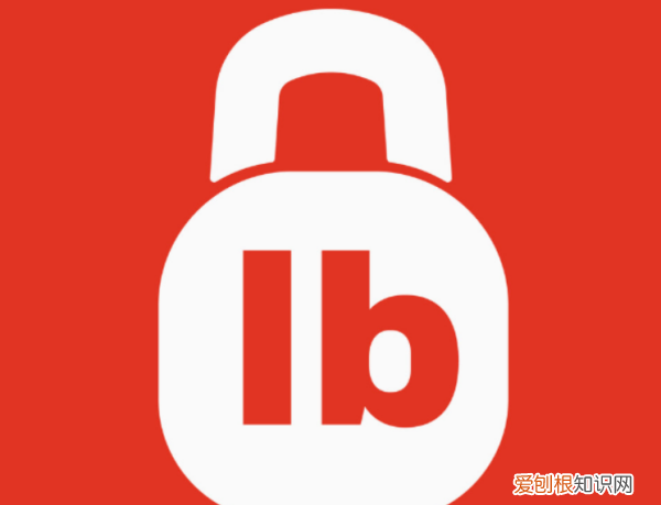 一磅是多少斤,一磅是多少市斤